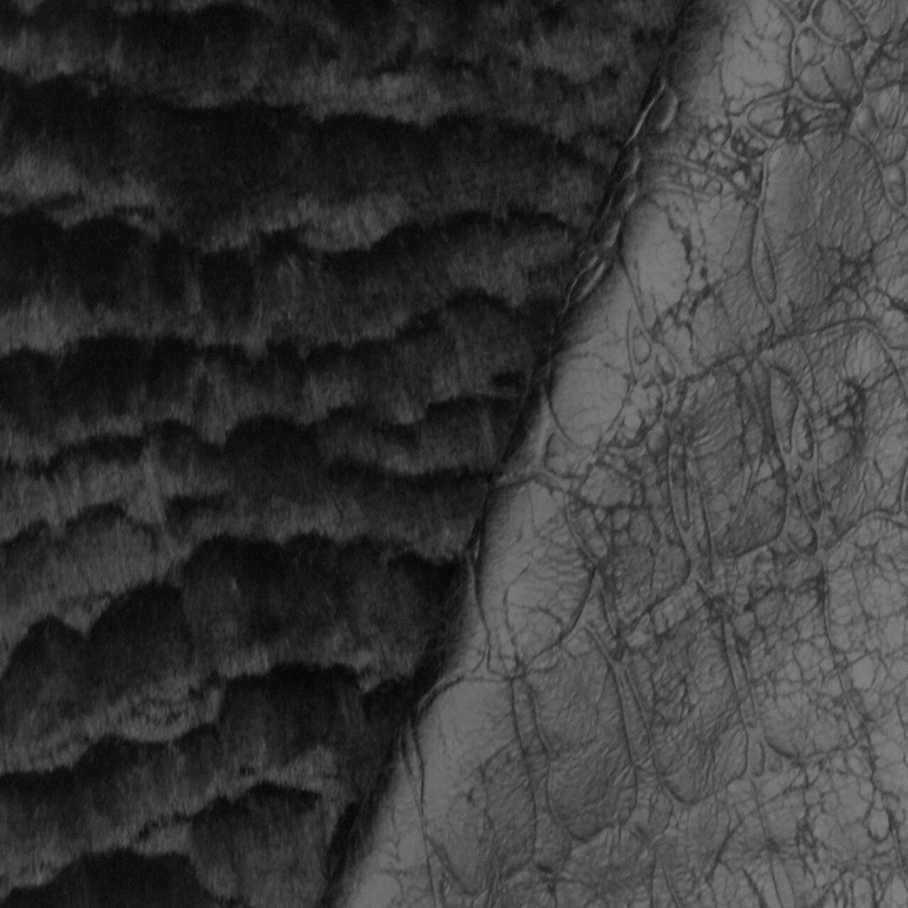 Black Famous Designer Embossed Crocodile Faux Fur Double Side Woven Fabric By the Yard